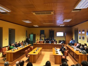 Scout in Consiglio2